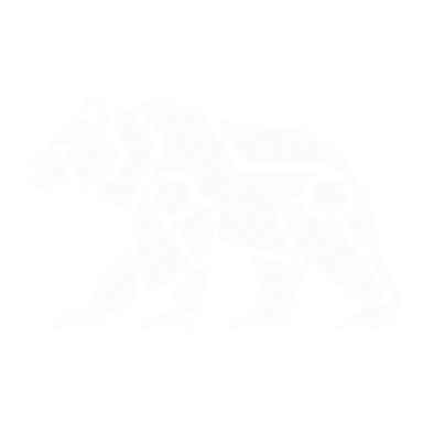 Grizzly Tech